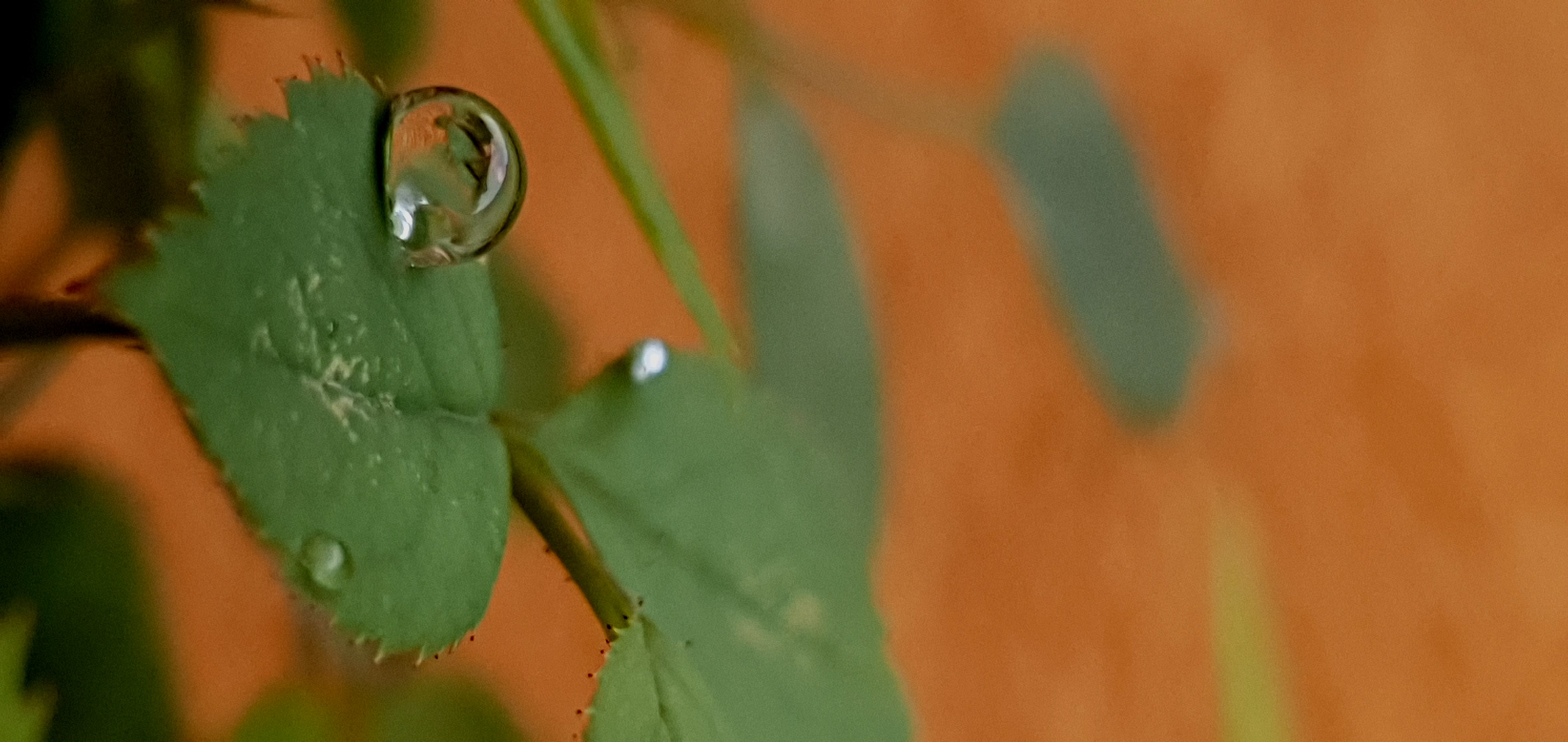 Goutte d'eau