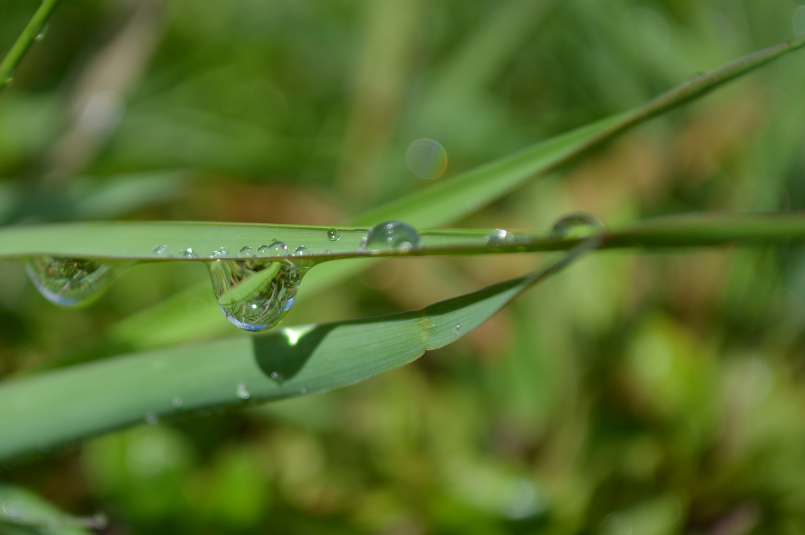 Goutte d'eau