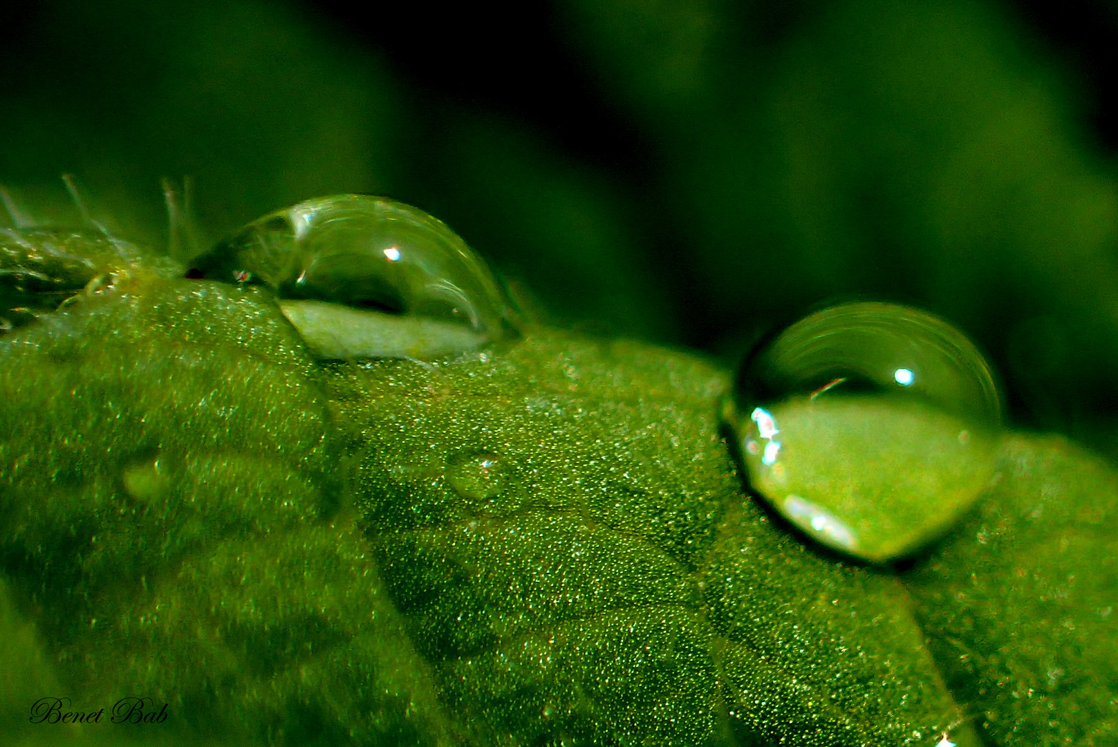 Goutte d'eau