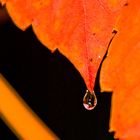 goutte d'eau