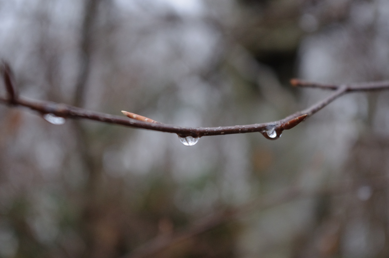 goutte d'eau