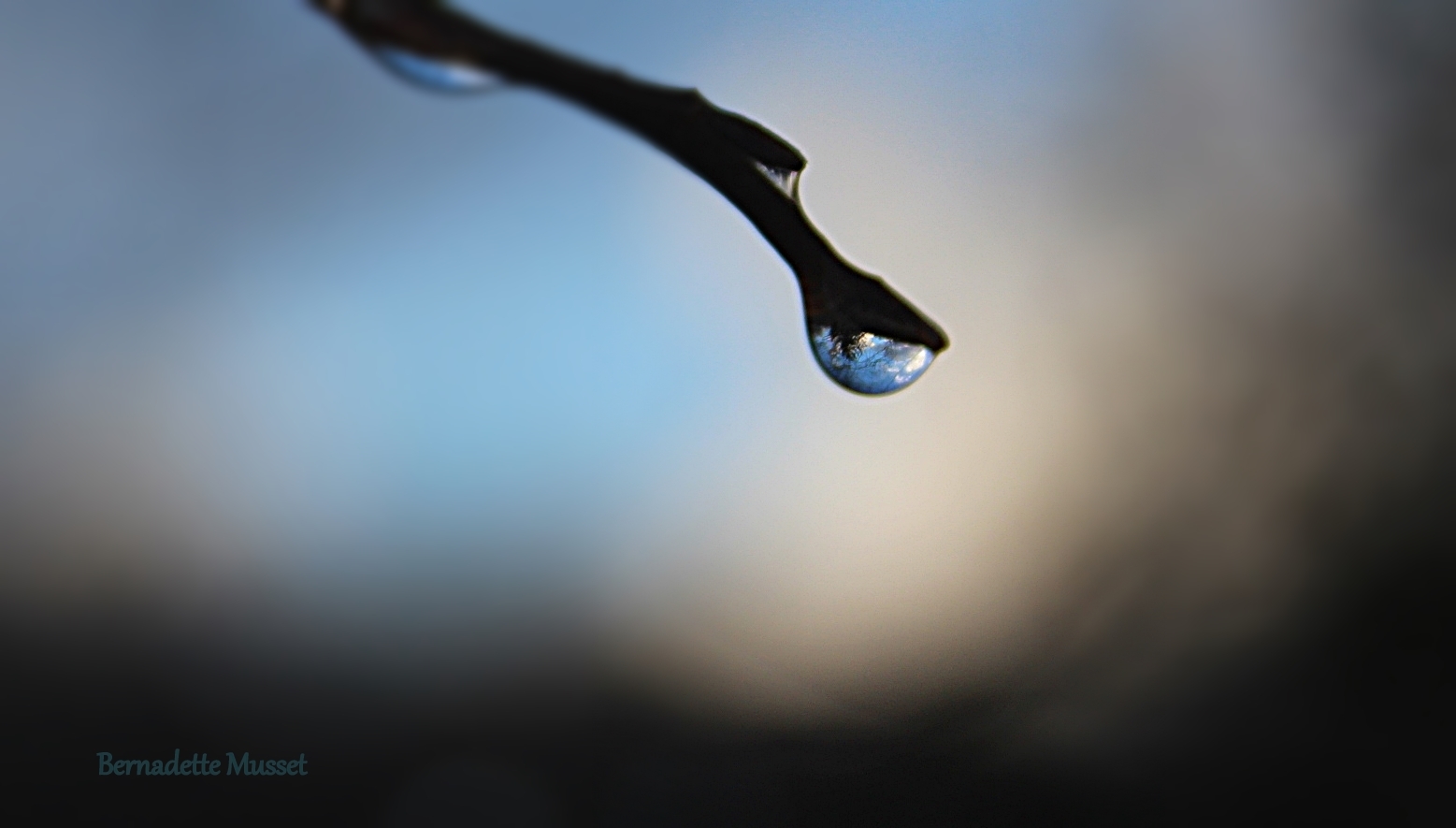 Goutte d'eau - Water drop