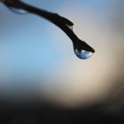 Goutte d'eau - Water drop