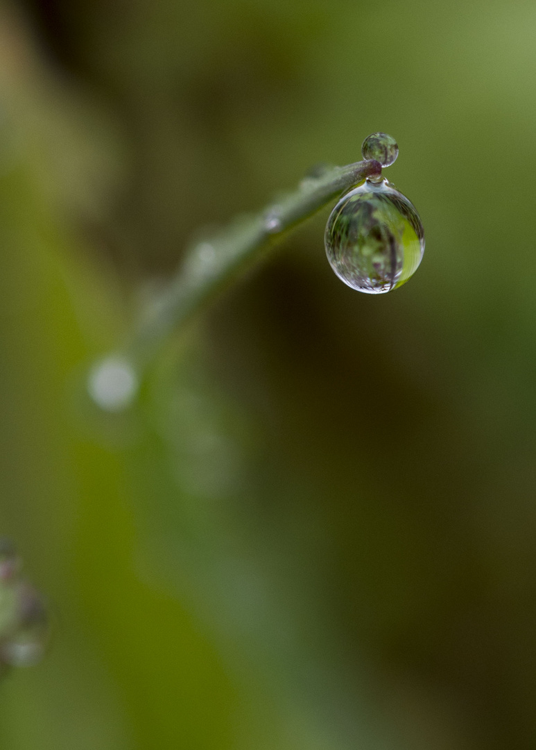 Goutte eau 