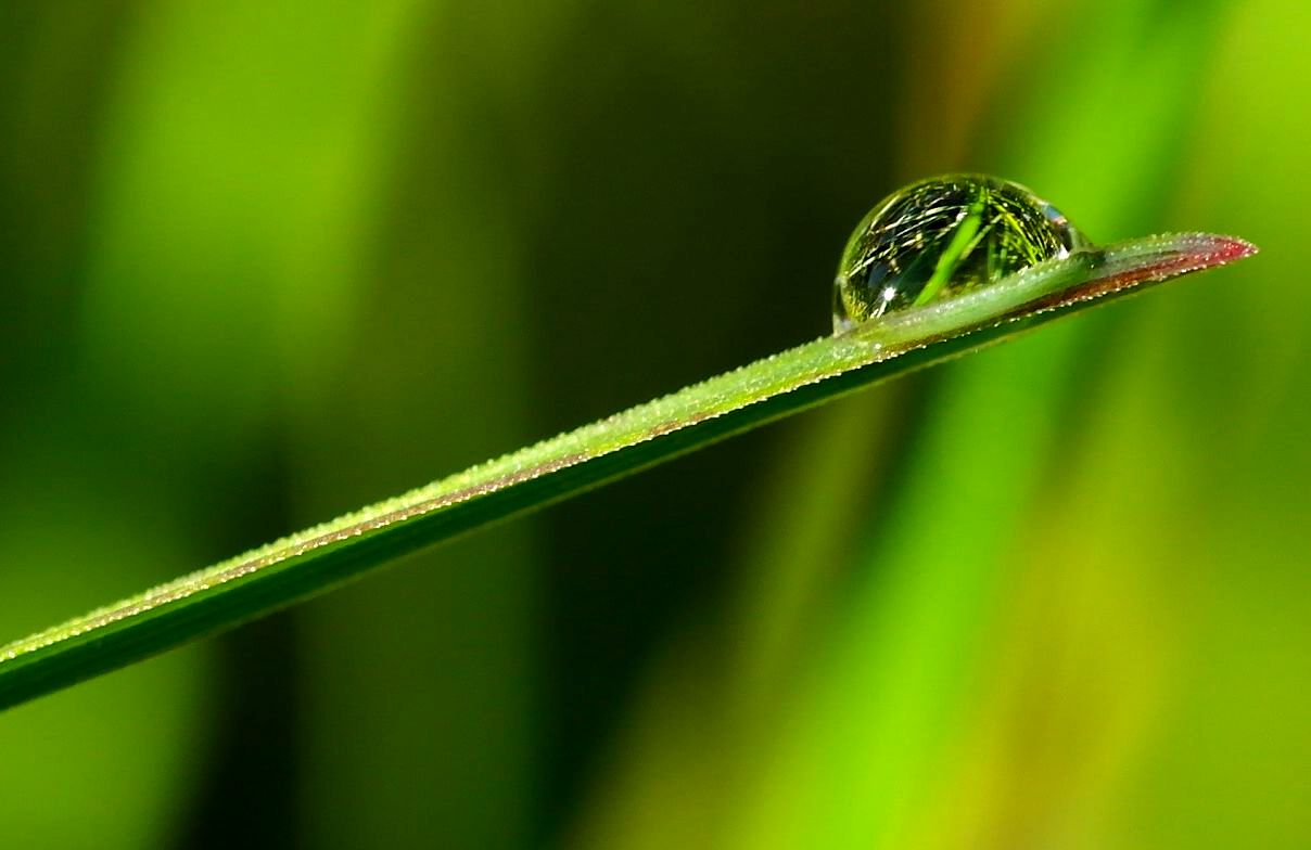 Goutte miroir