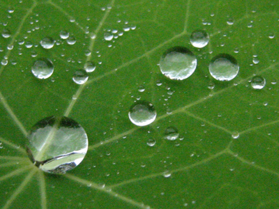 gouttes de pluie