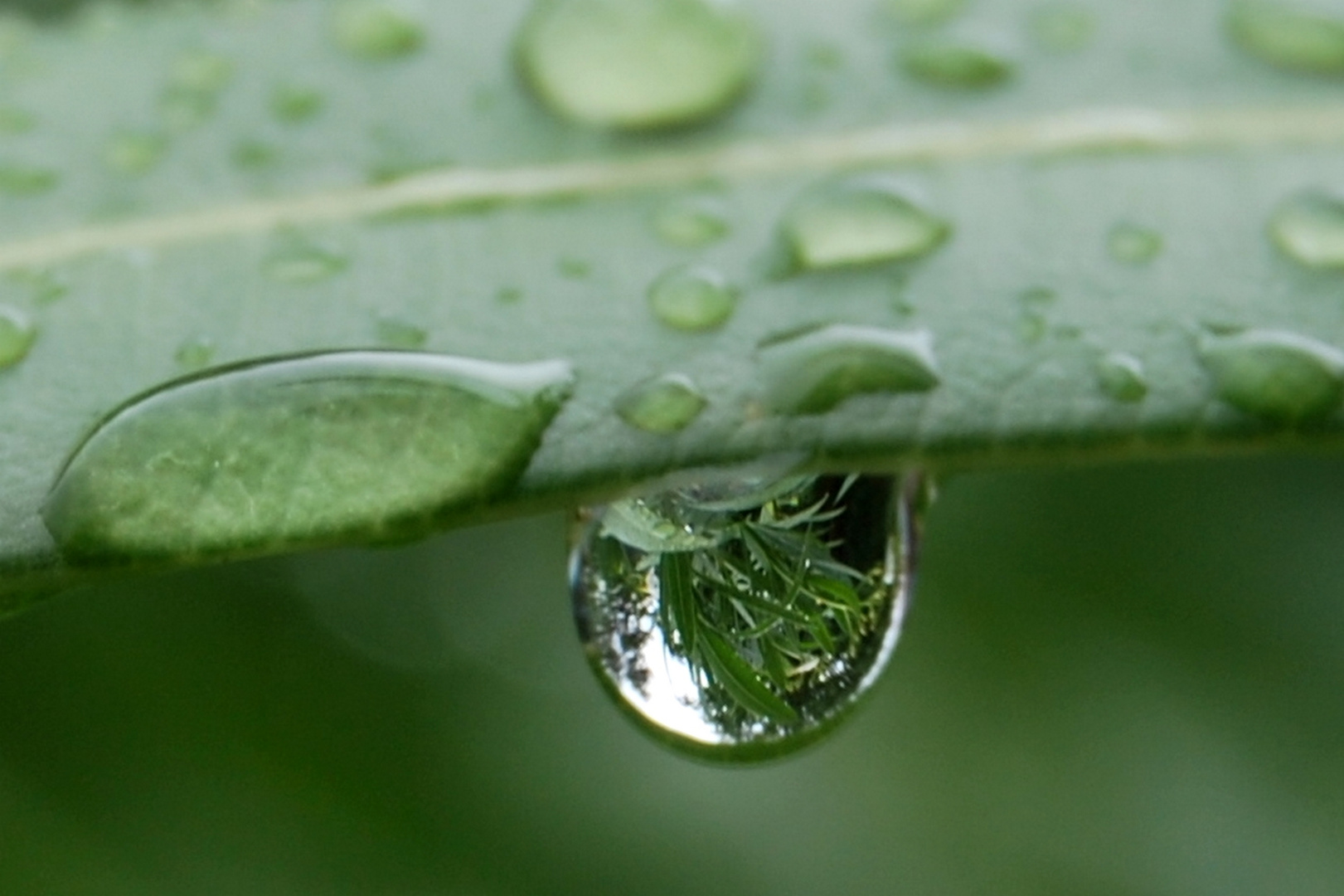 Gouttes d'eau