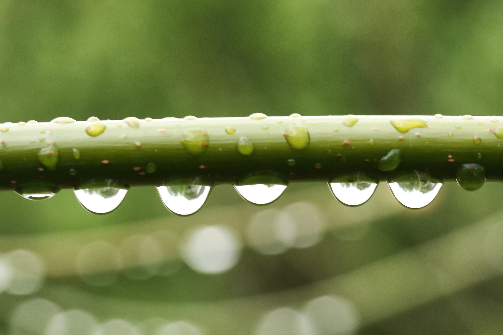 Gouttes d'eau !