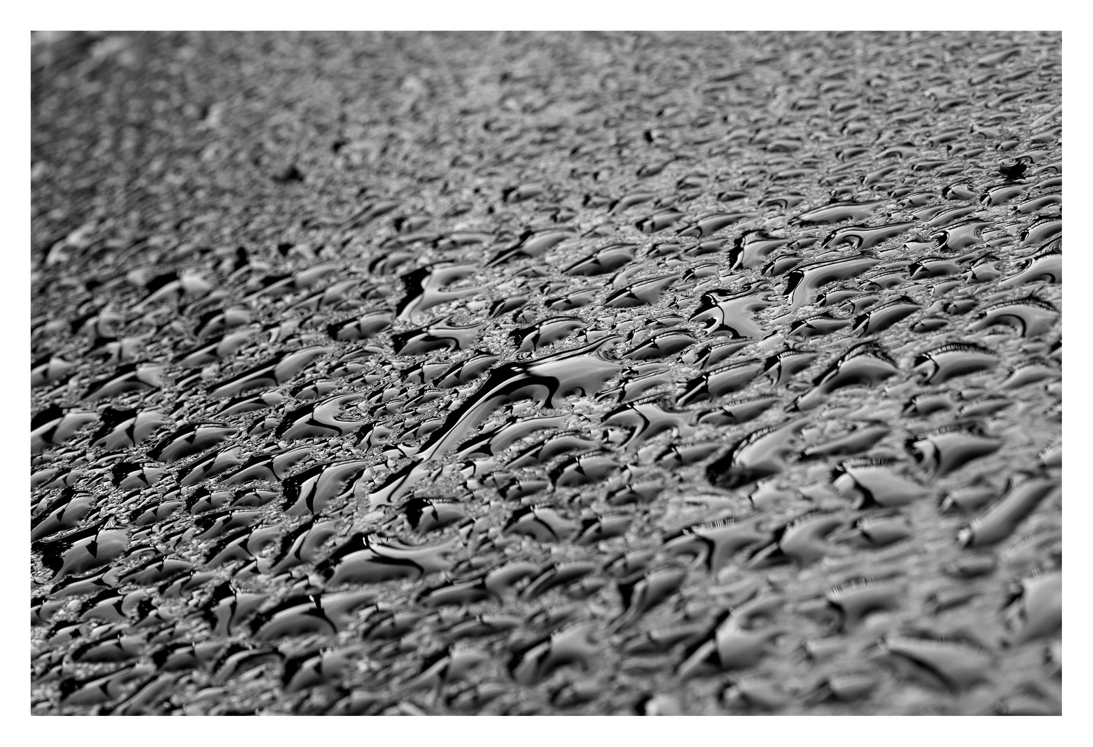 Gouttes d'eau à contre jour