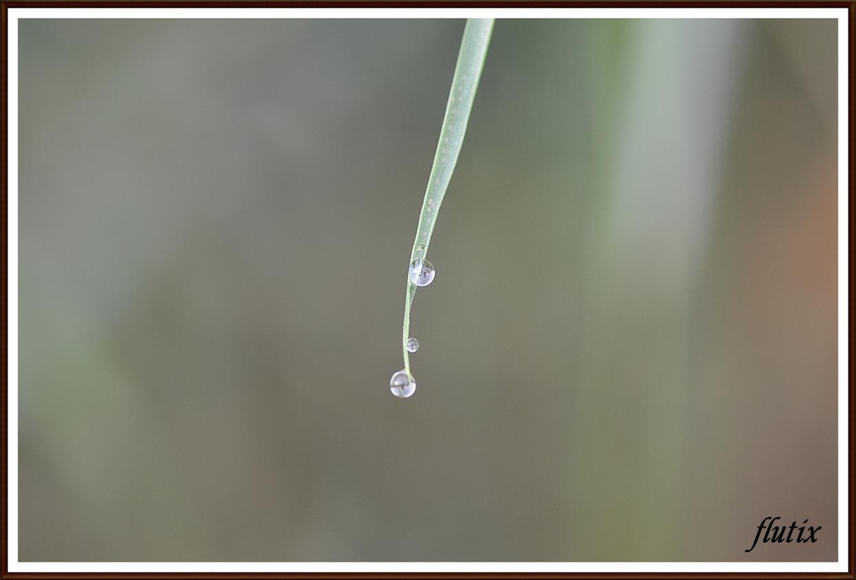 gouttes d'eau