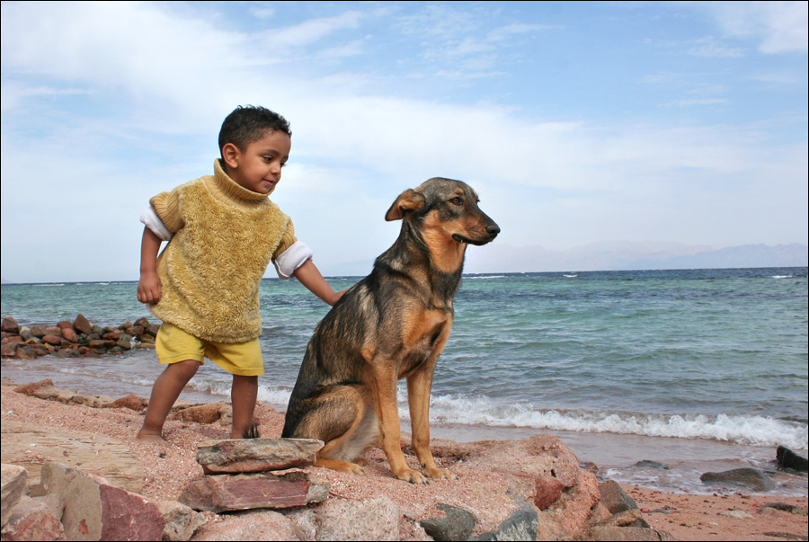 Govani und der Hund