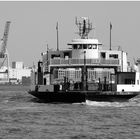 Governors Island Ferry + Red Hook Gantries