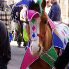 gozo carnival 6-02-2005