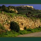 Gozo´s Golden Walls.