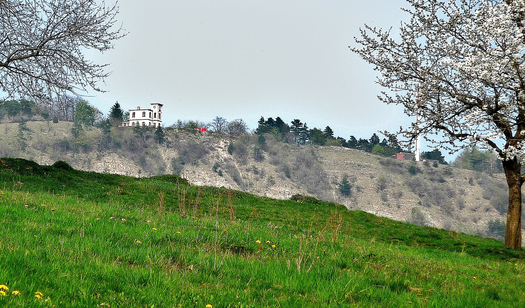 Gr. Hörselberg im Frühling