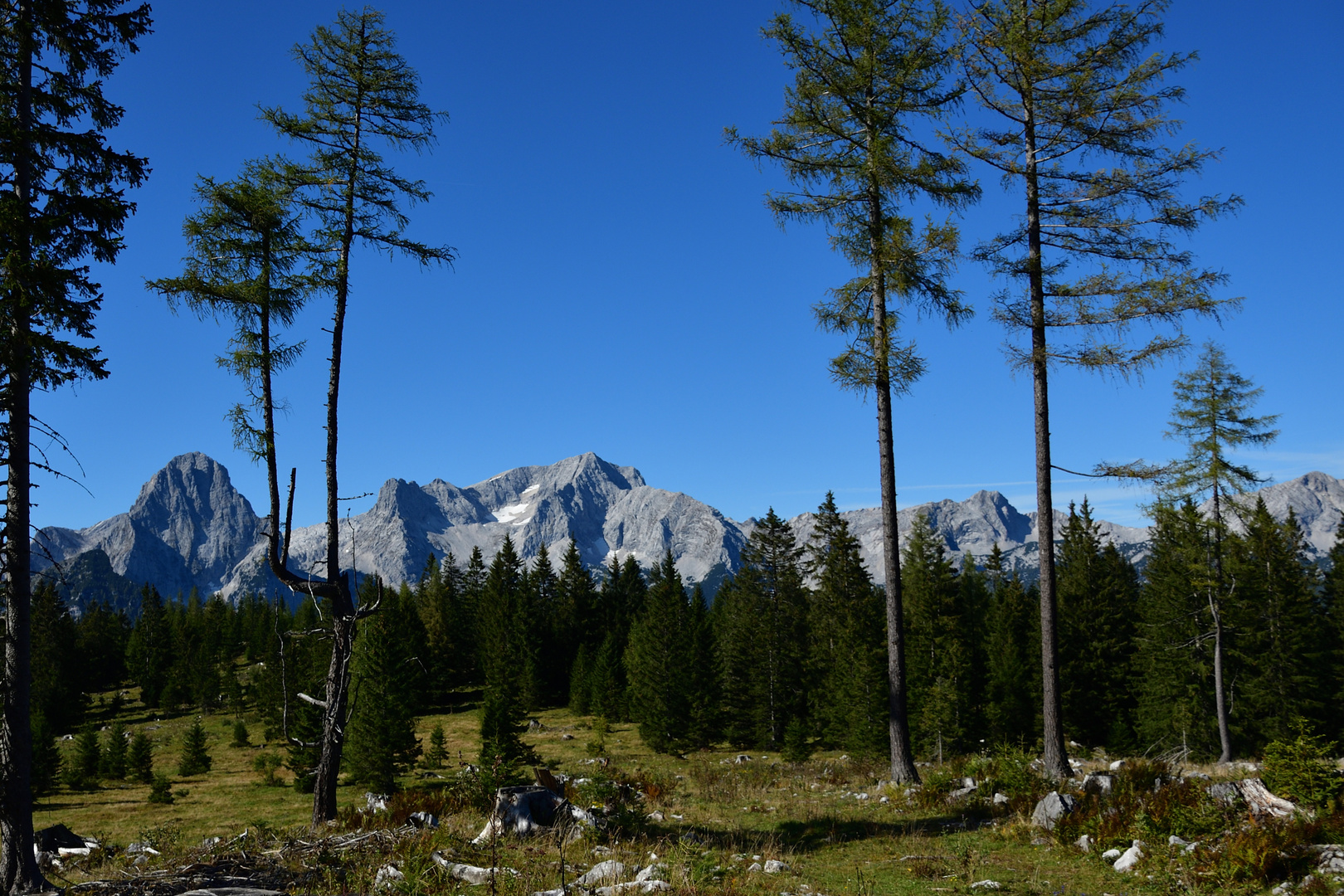 Gr. Priel und Spitzmauer