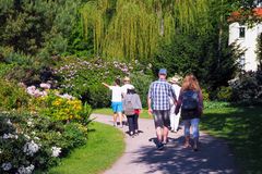 Graal Müritz: Rhododendron-Park in voller Blüte