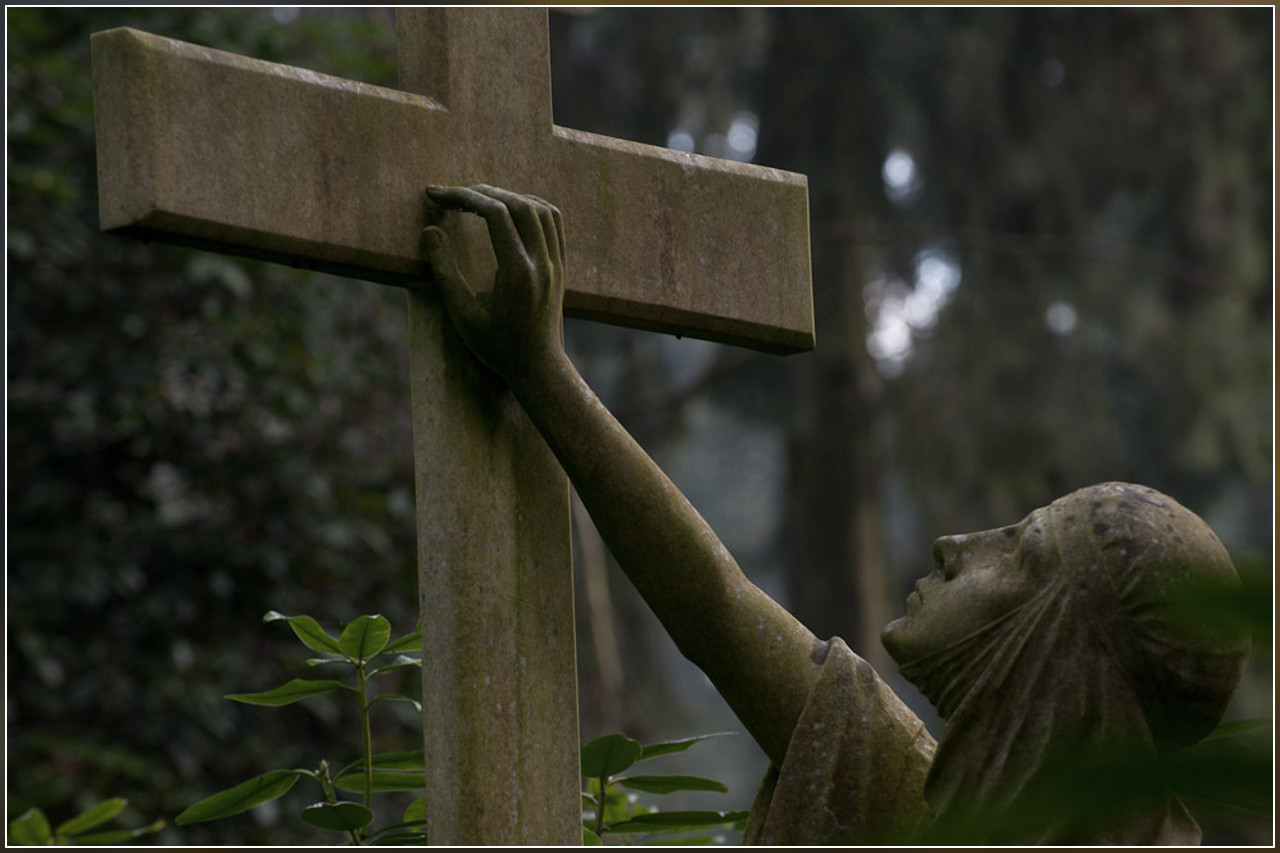 Grab auf dem Ohldorfer Friedhof in Hamburg 