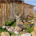 Grab in der Ghosttown Steins New Mexico