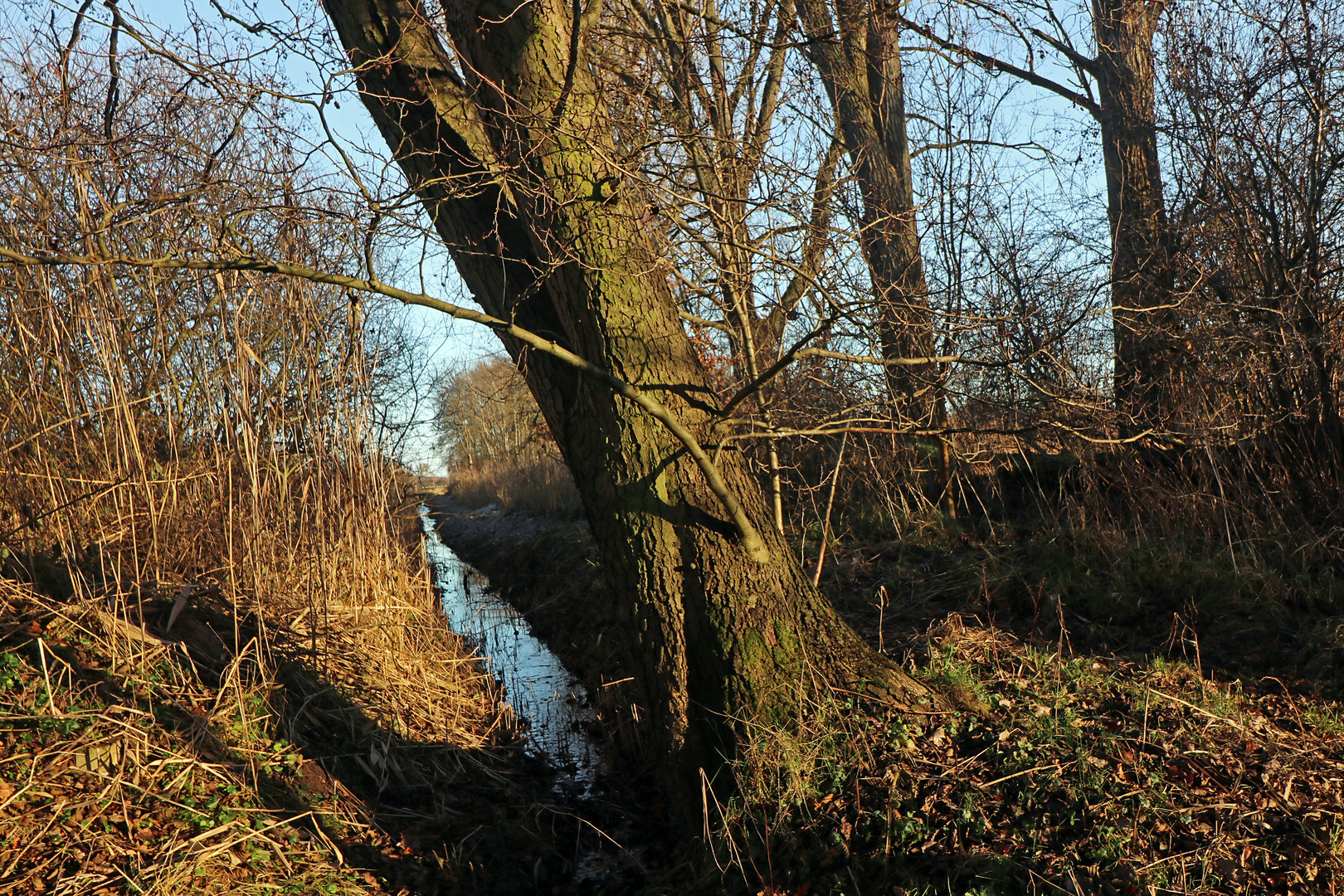 Graben im Ried