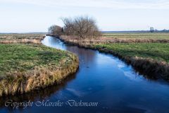 Graben in der Geestlandschaft "Bremer Blockland"