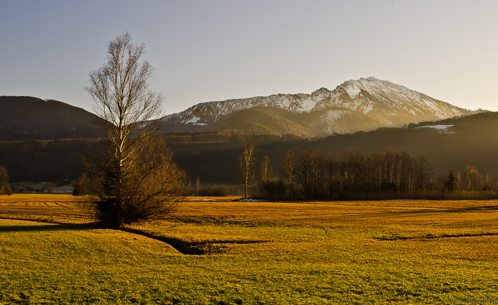 Grabener Moos am Chiemsee