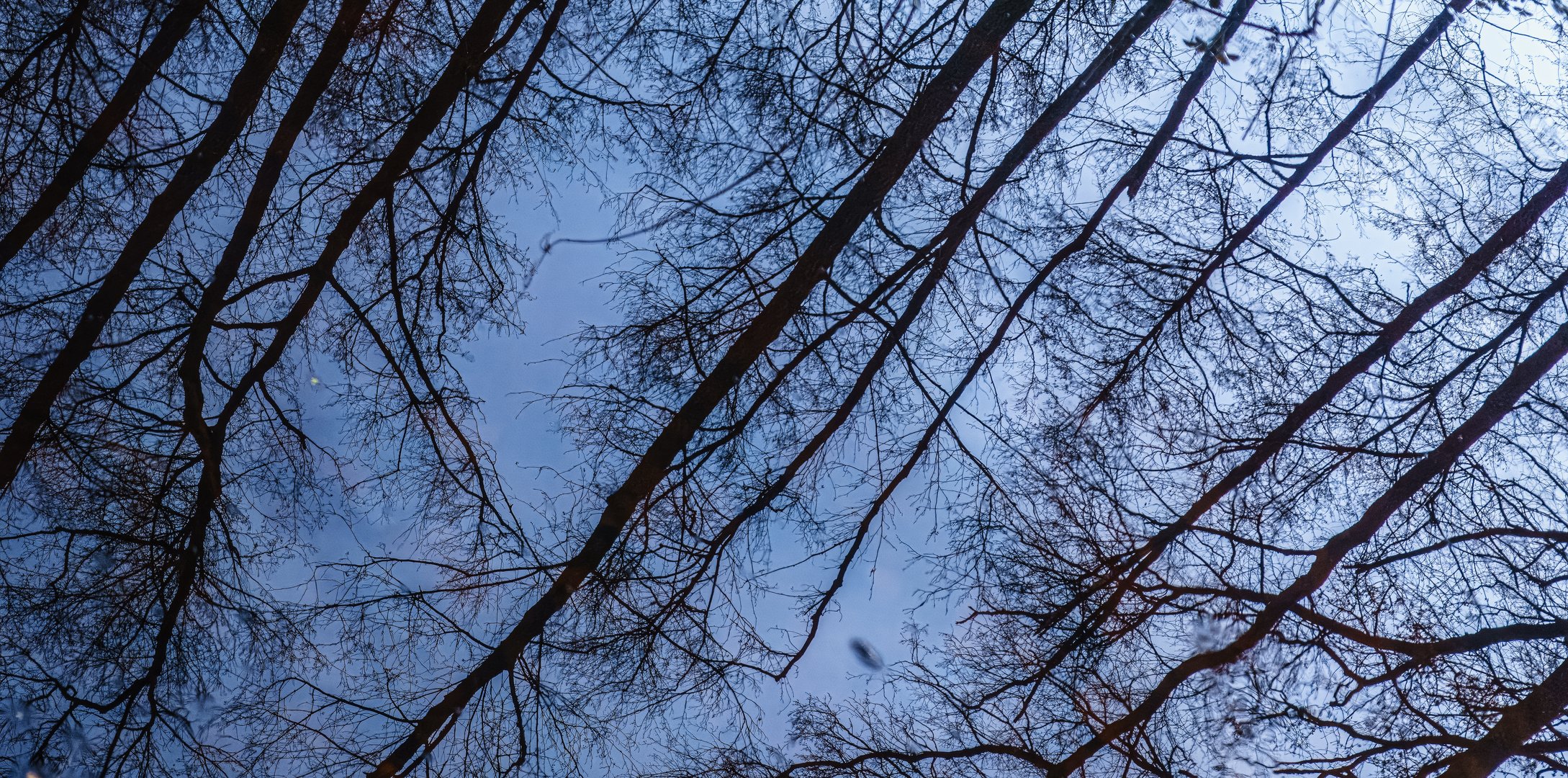 Grabenspiegelung zur blauen Stunde