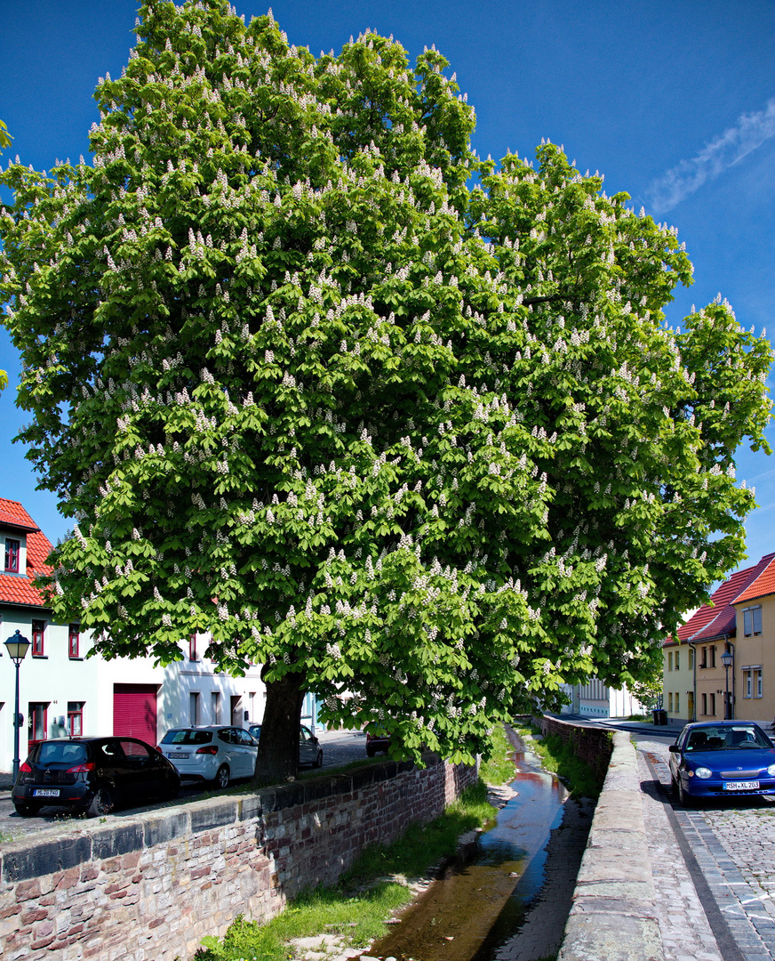 Grabenstraße entlang der Bösen Sieben