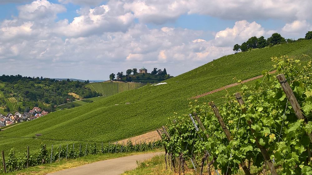 Grabkapelle auf dem Württemberg