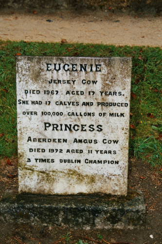 Grabmal für die Kuh Eugenie, die 100.000 Gallonen Milch gab