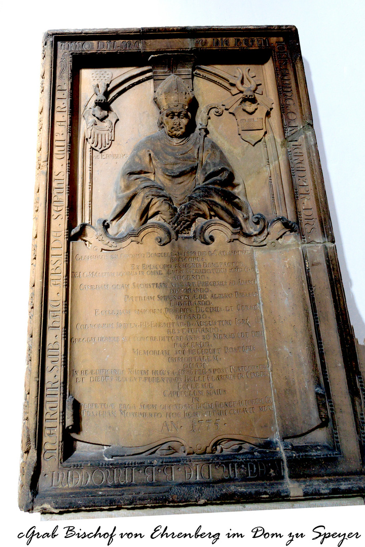 Grabplatte Bischof Gerhard von Ehrenberg