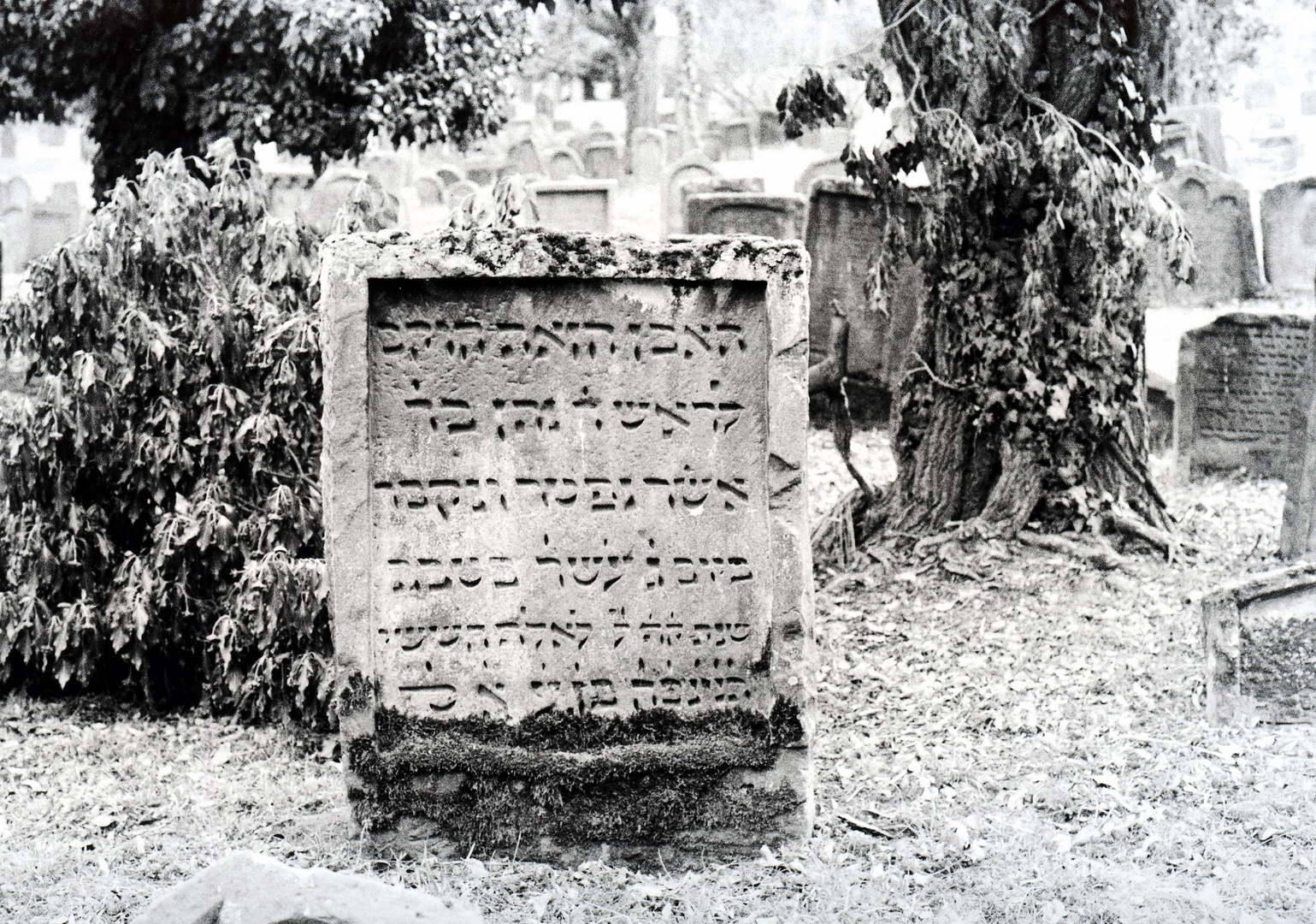 Grabstein auf dem jüdischen Friedhof in Worms