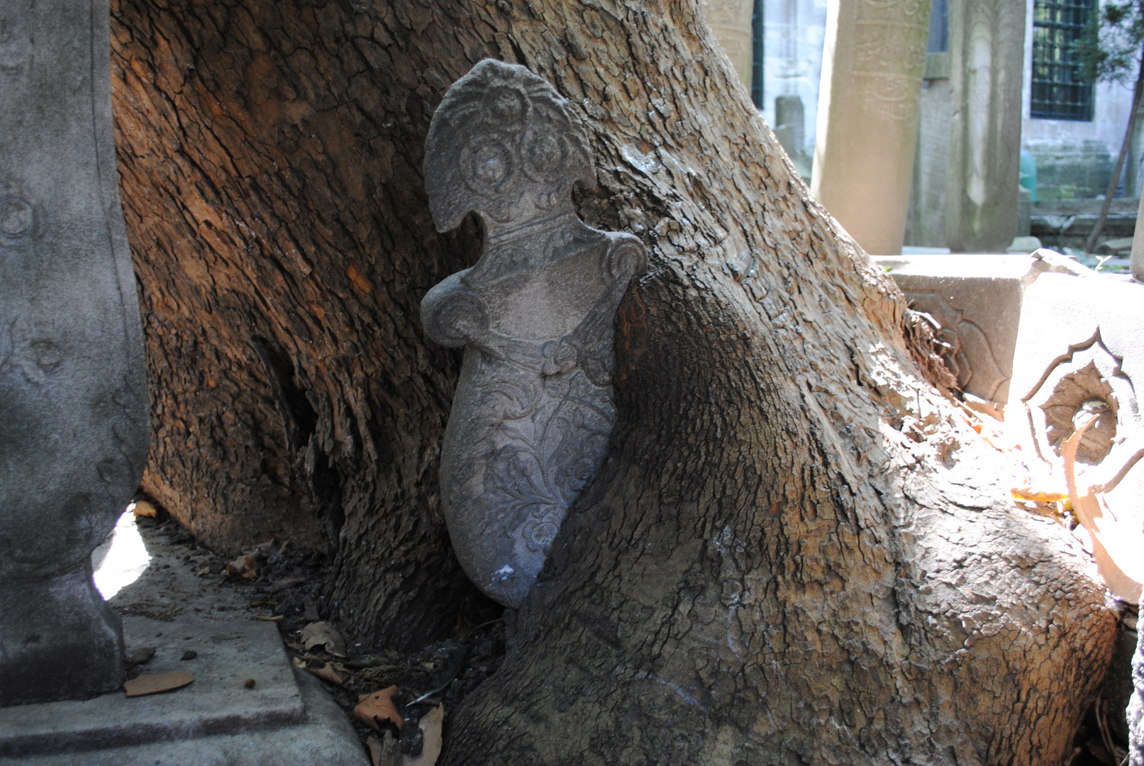 Grabstein Umfasst durch ein Baum