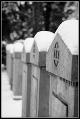 Grabsteine auf dem alten Jüdischen Friedhof in Frankfurt