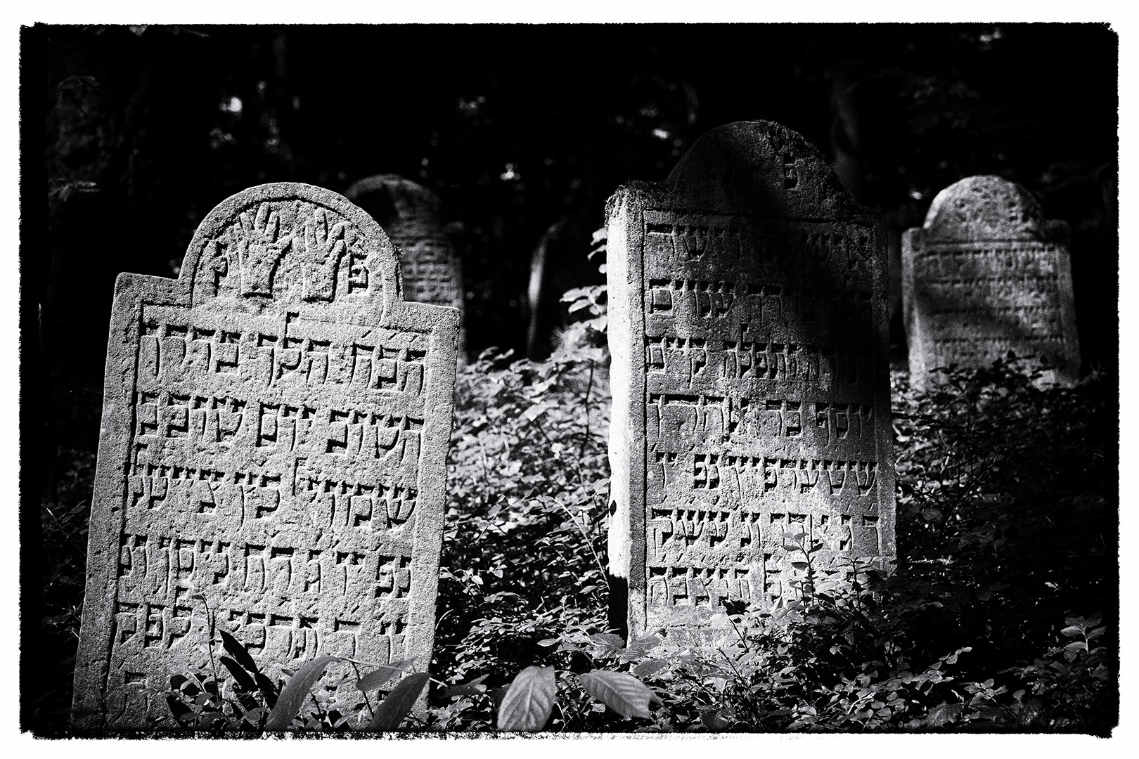 Grabsteine auf dem Jüdischen Friedhof in Altengronau