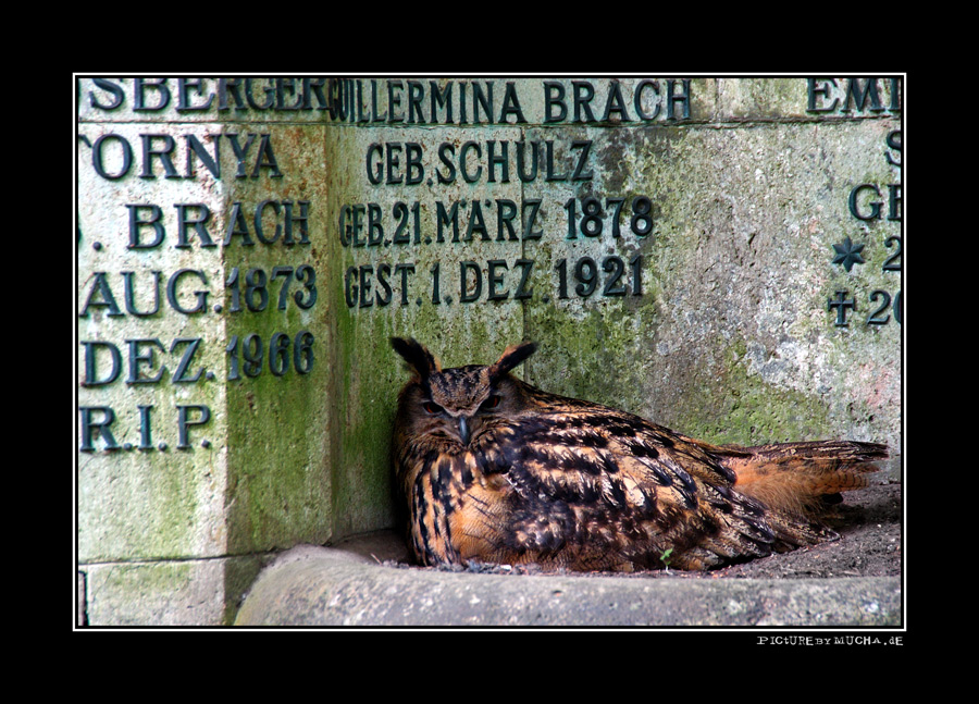 Grabwächter