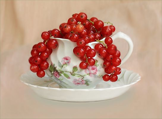  Grace W.          Johannisbeeren 