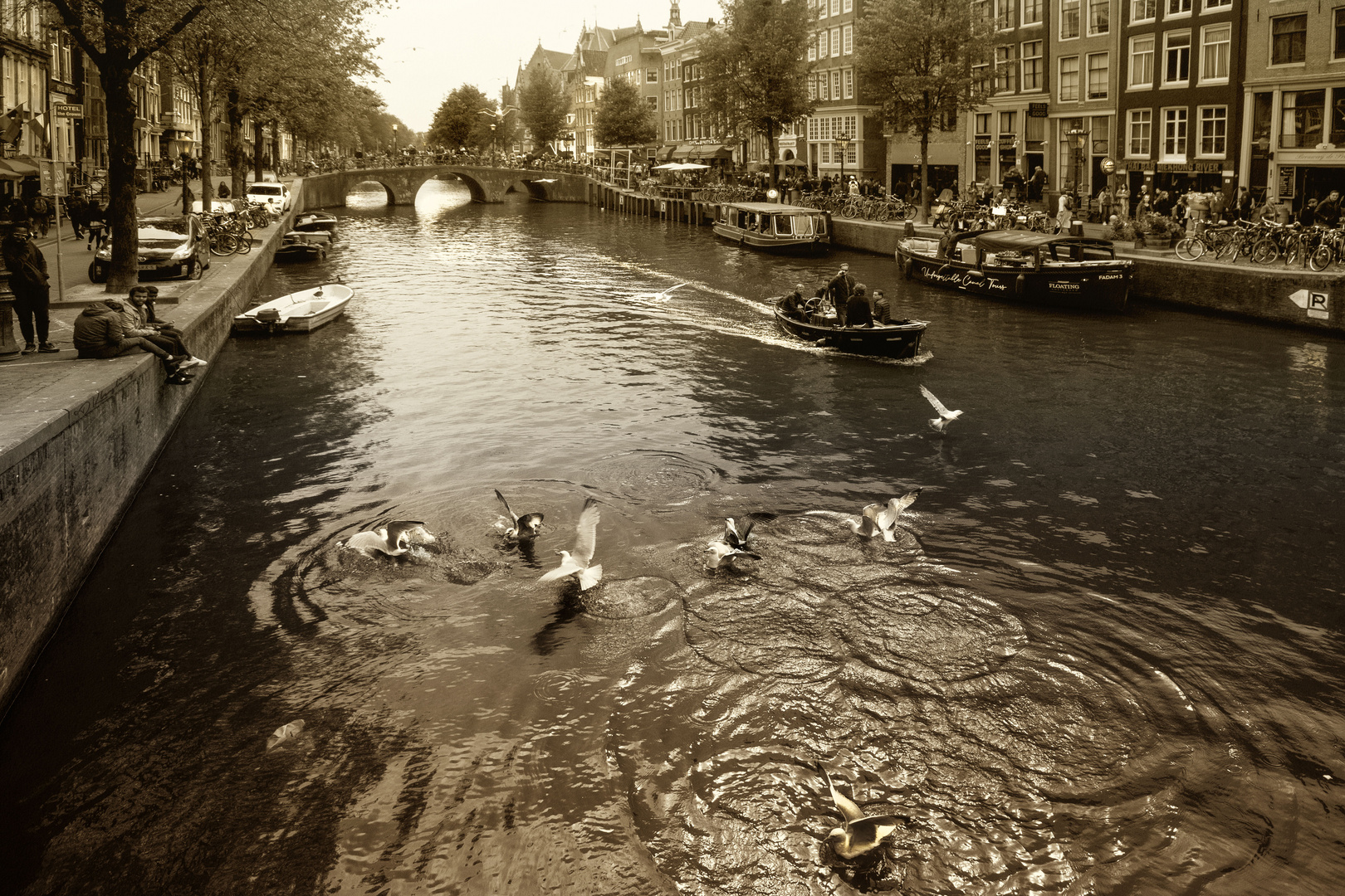 Gracht-Gewusel