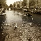 Gracht-Gewusel