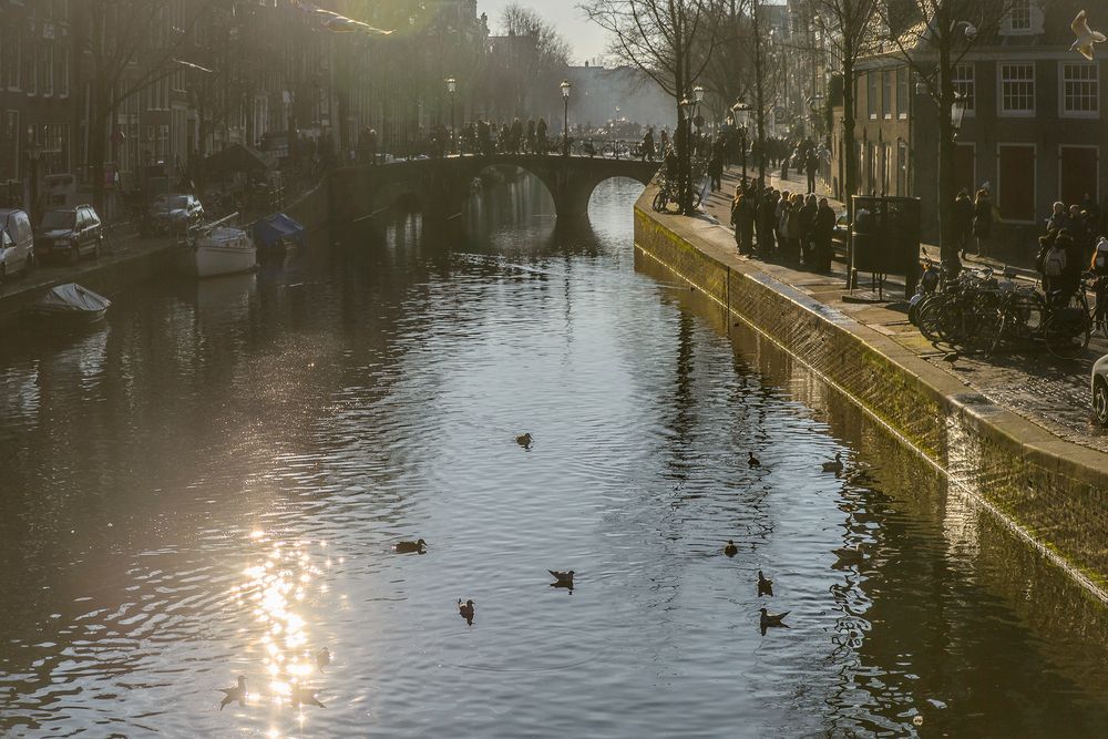 Gracht im Gegenlicht