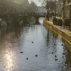 Gracht im Gegenlicht