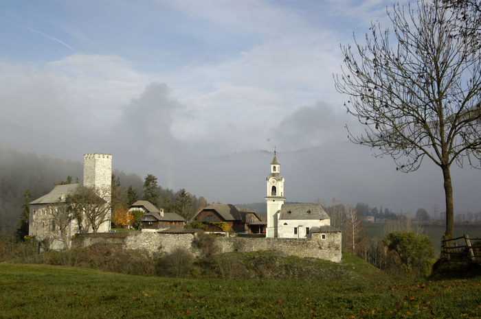 grad aussm Nebel aufgetaucht