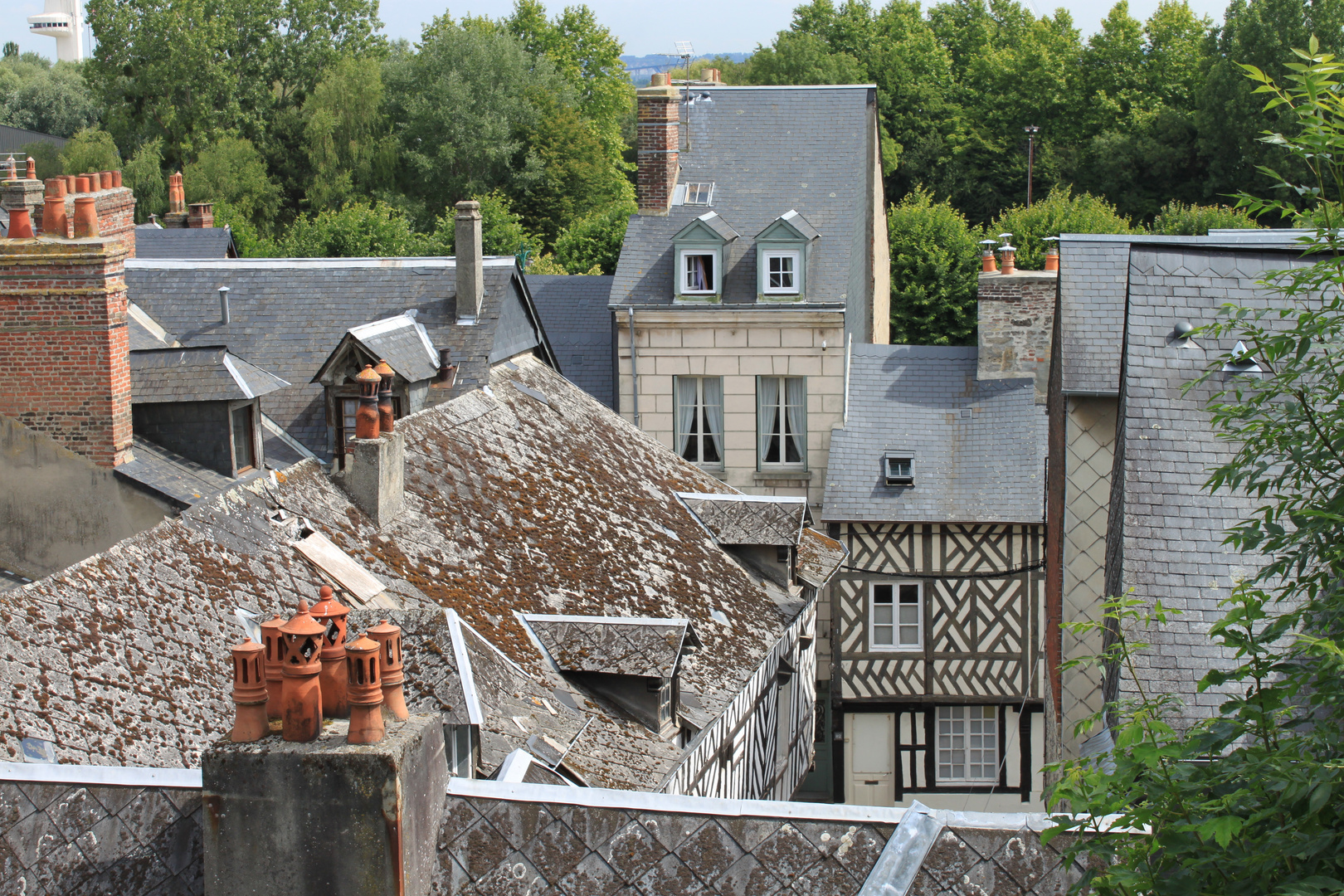 Gradevoli tetti di Honfleur