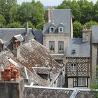 Gradevoli tetti di Honfleur