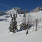 Gradnalm mit Pfannstein (bei Kremsmauer)