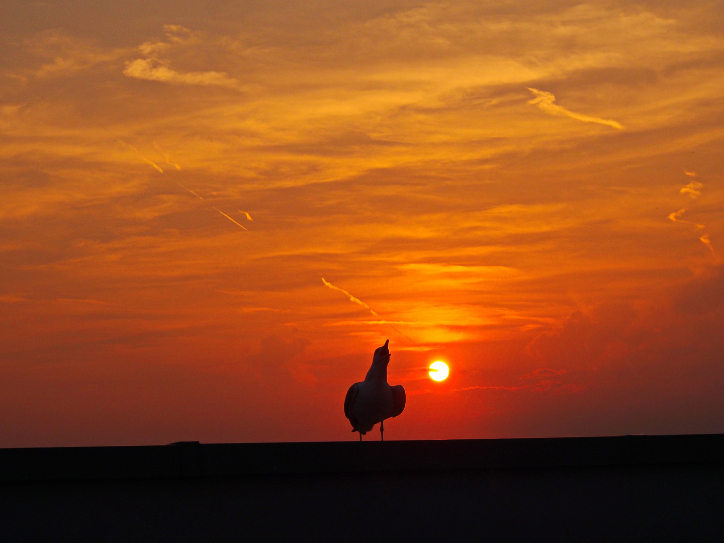 Grado Sunset