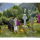 - Gräber im Kloster Gendalough -