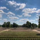 Gräbermeer auf dem deutschen Soldatenfriedhof in Lommel (B) - Juli 2010