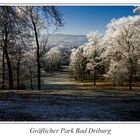 Gräflicher Park Bad Driburg