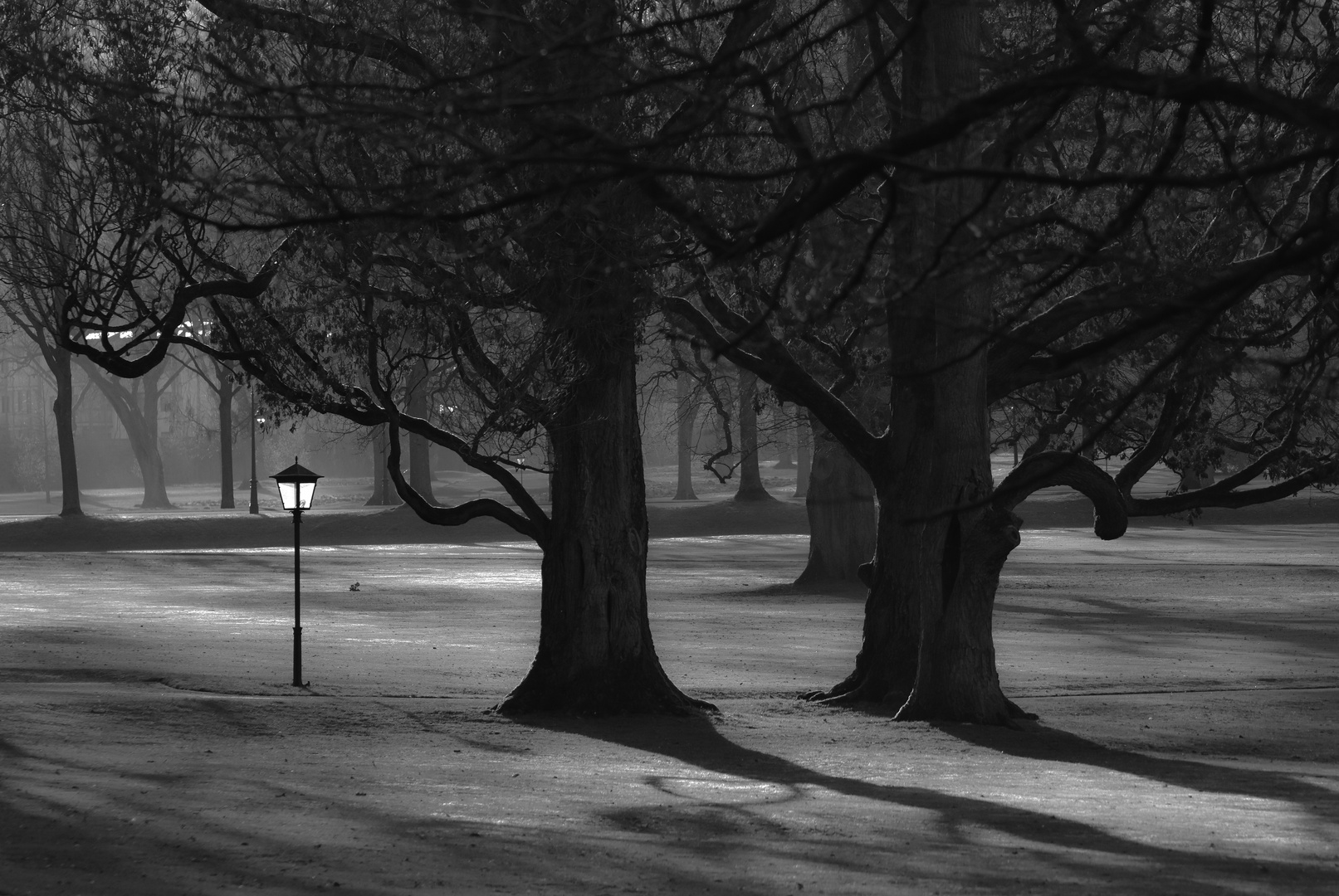 Gräflicher Park Bad Driburg